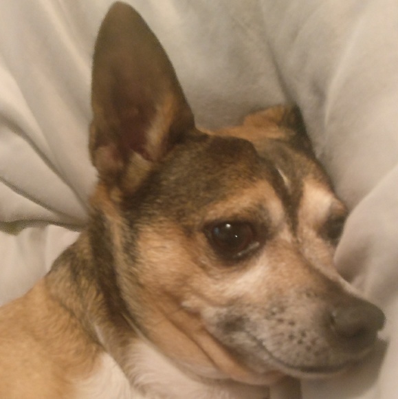 Meet your Posher, Christine - Picture 2 of 2